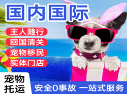 营口航空邮寄国际宠物托运 【国